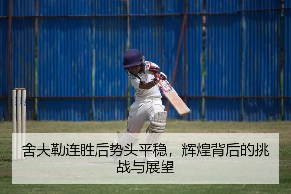 she-fu-lei-lian-sheng-hou-shi-tou-ping-wen-hui-huang-bei-hou-de-tiao-zhan-yu-zhan-wang-2-131.jpg